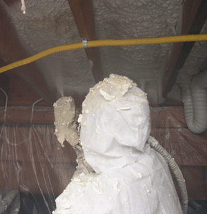 St. John's NL crawl space insulation